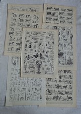 Lot de 15 gravures anciennes