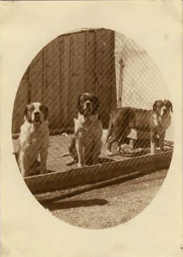 Photo ancienne vintage - photo,