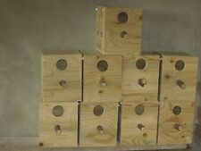 5 nid calopsite,kakariki,perruche de latham ou swift en bois