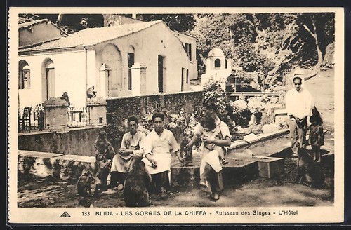 Cpa blida les gorges al - cpa, blida,