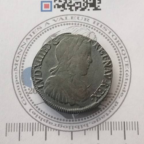 Louis xiv demi - xiv, portrait