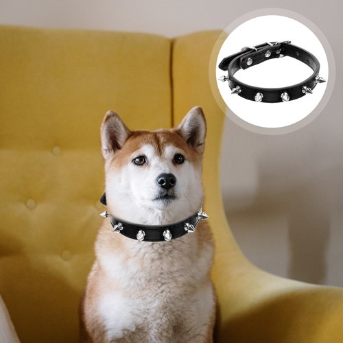 Collerette pour chat collier - collerette,