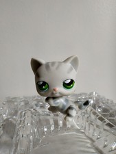 petshop chat europeen tigré gris #32 hasbro 2004