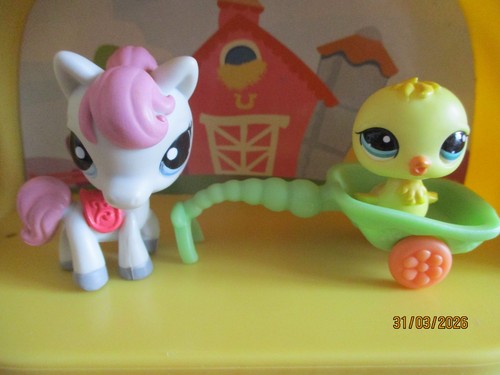 Petshop duo poussin 1096 - petshop,