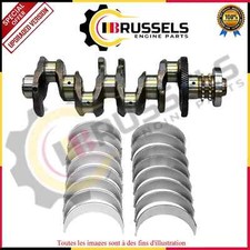 BMW 218D 318D 418D 518D 2.0DIESEL N47D20C N47D20D Vilebrequin avec Roulements