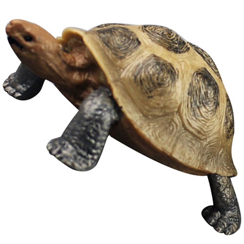 Figurine tortue terrestre - tortue,