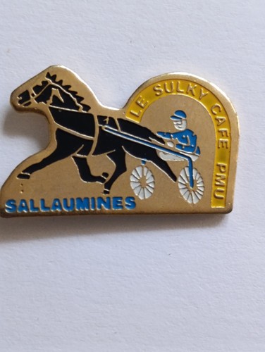 Pin skully sallaumines 62 - pin's, le
