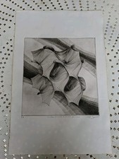 Affiche Originale Lithographie