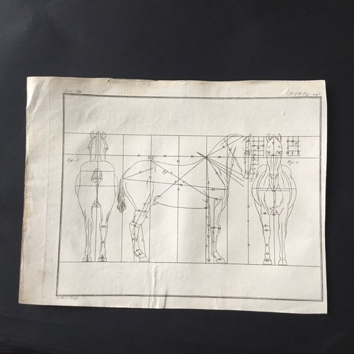 Gravure xviiiè anatomie - gravure,