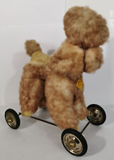 ANCIEN CANICHE SUR ROULETTE -