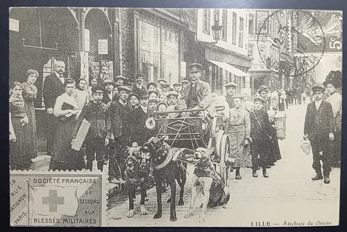Cpa lille attelage chiens - cpa, !