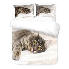 Housse couette sateen hd - couette,