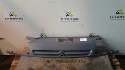 Grille capot citroen saxo - capot,