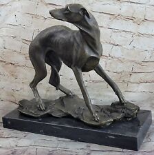 Grand Lévrier Whippet