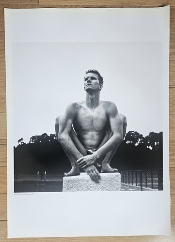 Helmut newton genuine - newton, sumo