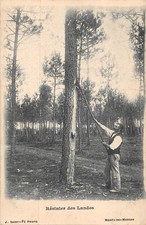 CPA Résiniers des Landes