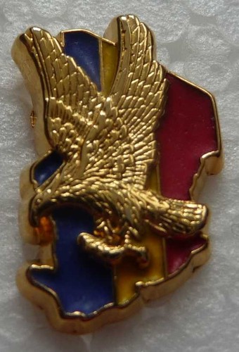 Pin militaire des - pin's,