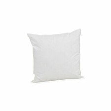 Coussin 40 CM X - Plumes Et