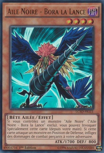 Aile noire bora - -,