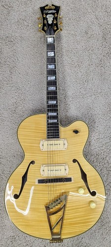 Angelico excel hollowbody - 59,