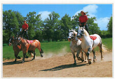 JUVIGNY Sous VAL D'ANDAINE Ferme du Cheval de Trait Spectacle de Percherons