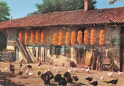 01-FERME