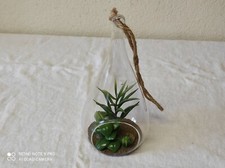 Serre en forme de poire avec plantes en plastiques