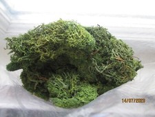 HO, Flocage lichens gros lots pour vos décors ou diorama
