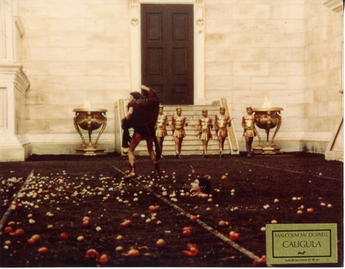 Caligula tinto brass - *caligula, photo