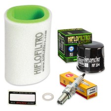 Yamaha Grizzly 450cc Service