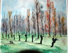 Marais poitevin "les têtards"