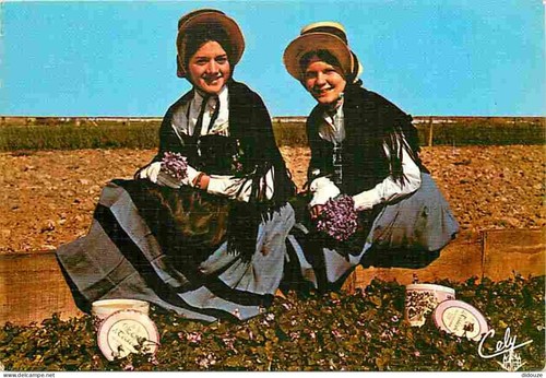 Carte postale toulouse - postale, 31