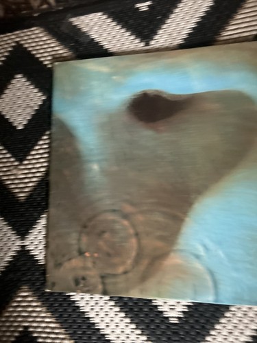 Vinyle punk floyd thé dark - vinyle,