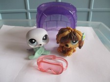 Petshop duo phoque - :, n°1077