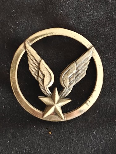 Insigne beret argenté alat - insigne,