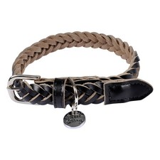 Collier pour Chien Réglable