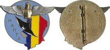 Génie de l’Air, Opération MANTA, dos grenu, épingle sertie, Delsart (5942)