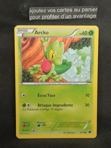 Carte pokemon française arcko - carte,
