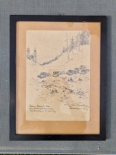 dessin au crayon les sangliers