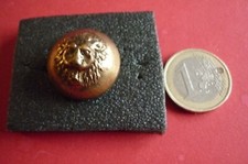 BOUTON  ANCIEN   / METAL  LION