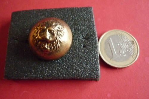 Bouton ancien metal lion - ancien, /