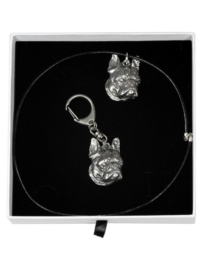 Boston terrier set the - dog, in