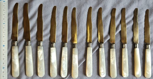 Couteaux fruits - 12,