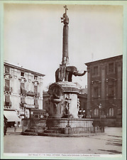 Alinari, Italie, Sicile, Catane, Fontaine de l'Éléphant, ca.1880, tirage vi