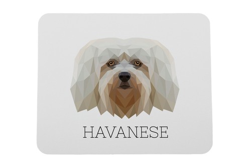 Bichon havanais sous main - bichon, sous-main