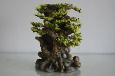 Aquarium Détaillé Bonsaï