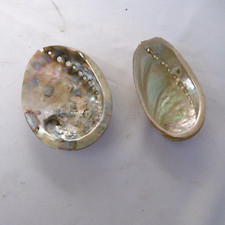 2 coquillages nacrés abalone (ormeaux)