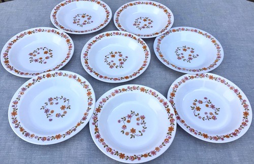 Lot assiettes creuses arcopal - creuses,