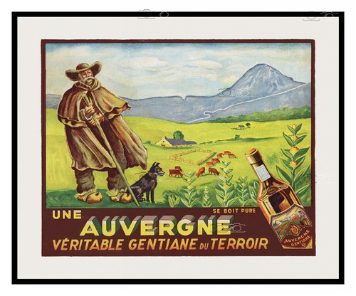Auvergne gentiane liqueur rmci - gentiane,