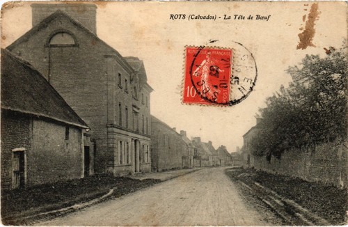Cpa rots tete boeuf - tete, de
